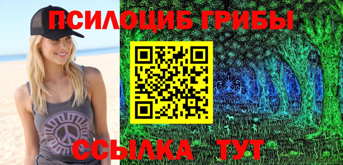 Галлюциногенные грибы мицелий  Вход с VPN  Чебаркуль  Галлюциногенные грибы мицелий 